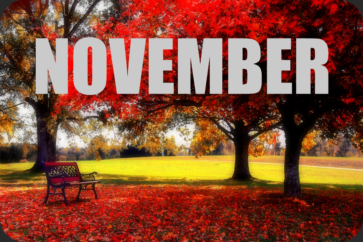 November