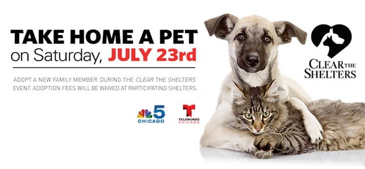 cleartheshelters2016.jpg