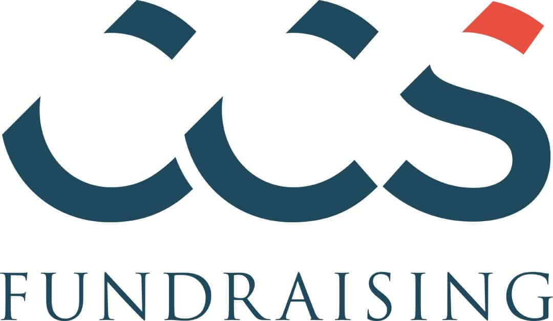 Raising High-End Donations: An Interview with Tanya Stanfield of CSS Fundraising