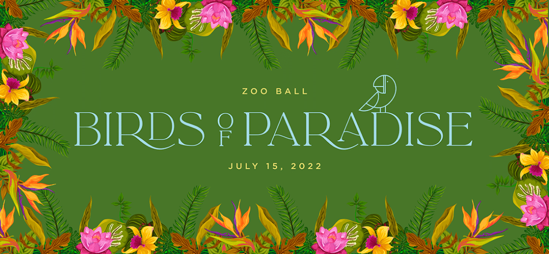 Chicago’s Biggest Fundraising Event: the Lincoln Park Zoo Ball