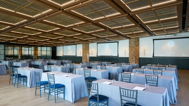 Allium Corporate (1)