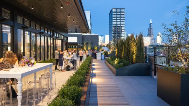 Allium Outdoor Space (1)